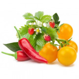 Plant pods for smart gardens