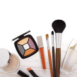 Decorative cosmetics