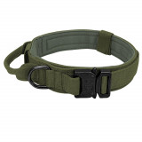 Collars and braces for dogs