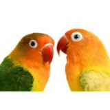 Goods for birds