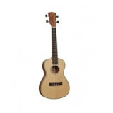 Musical instruments and accessories