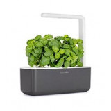 Smart Garden