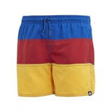 Men's swimming trunks