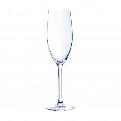 Champagne glass Chef & Sommelier Transparent Glass (24 cl)