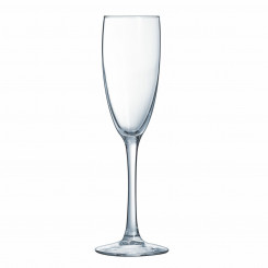 Šampanjaklaas Arcoroc Vina läbipaistev klaas 6 ühikut (19 cl)