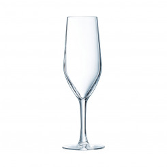 Tasside komplekt Chef&Sommelier Evidence šampanja läbipaistev klaas 160 ml (6 ühikut)
