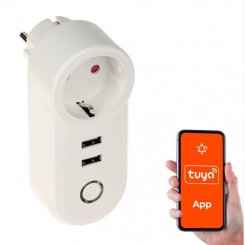 Nutikodu Wifi Smart Socket / Usb Atlo-P1U2-Tuya Genway