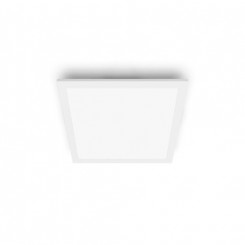 Philips Functional Ceiling light
