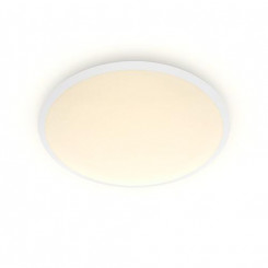 Philips Functional 8719514326866 Потолочное освещение Белый Несменные лампы LED