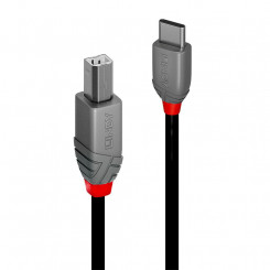 Cable Usb2 C-B 3M / Anthra 36943 Lindy