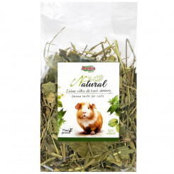 ALEGIA Green herbs for cavia - treat for domestic cavies - 100g
