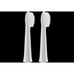 Panasonic Brush Head WEW0972W503 Heads For adults Number of brush heads included 2 Number of teeth brushing modes Does not apply White