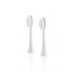 ETA Toothbrush replacement FlexiClean ETA070790100 Heads For adults Number of brush heads included 2 Number of teeth brushing modes Does not apply White