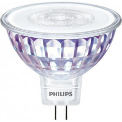 Philips Spot (с регулируемой яркостью)