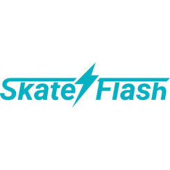 Skateflash 8436567348699 electric kick scooter 25 km / h Black, Blue 2 Ah