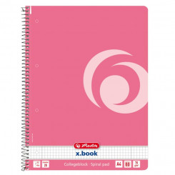 Spiral folder A4/80 square Color Block Indonesian pink