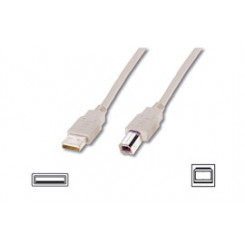 Logilink USB B male USB  A male