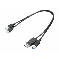 Lenovo ThinkStation mDP + USB-A 3.0 kuni DP + USB-B 3.0 kahepealine kaabel