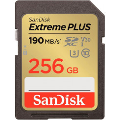 Memory Sdxc 256Gb Uhs-1 / Sdsdxwv-256G-Gncin Sandisk