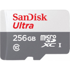 Память Sandisk MicroSDXC 256 ГБ