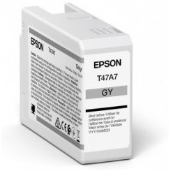 Epson Ink cartrige Grey