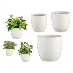 Set of pots White Clay (3 Pieces)