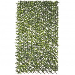 Lattice Natural Ivy vitstest Bambus 2 x 200 x 100 cm