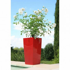 Plant pot Riviera Red Plastic Squared 29 x 29 x 52 cm 29 x 29 cm
