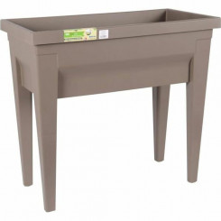 Planter EDA   Vegetables Seed tray Taupe 73 x 38,5 x 68 cm