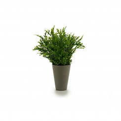 Горшок для растений 8430852553010 Зеленый Пластик 13 x 25 x 13 см
