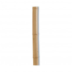 Istutamise tugipulk Nortene Dekoratiivne Ø 8,5 cm x 2,4 m Naturaalne Bambus