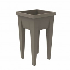Flower pot EDA Root vegetables Seed tray 38.5 x 38.5 x 68 cm