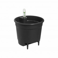 Self-watering flower pot Elho Insert 28 Black Plastic 27.7 x 27.7 x 25.5 cm