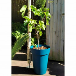 Plant pot Riss 53 cm Blue Plastic