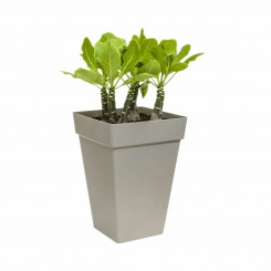 Plant pot Elho Ø 29.5 cm White polypropylene Plastic Square Modern