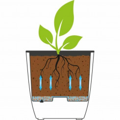Plant pot EDA 43.5 x 43.5 x 44.5 cm Black Plastic Square Modern
