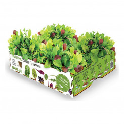 Cultivation Set Batlle Baby Leaves Salads 40 x 29 x 10,5 cm 2,6 Kg
