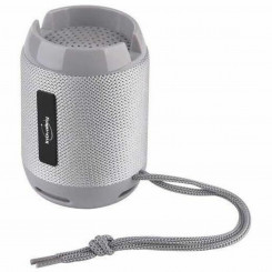 Portable Speaker Inovalley Grey