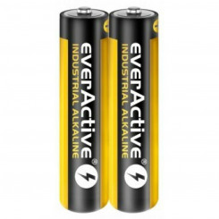 Батарейки EverActive LR03 1,5 В AAA