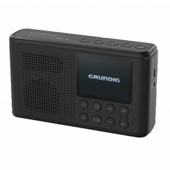 Транзисторный радиоприемник Grundig Music 6500 Черный Многоцветный