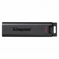 USB-накопитель Kingston DTMAX 256 ГБ