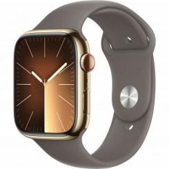 Умные часы Apple Series 9 Коричневый Золотой 45 мм