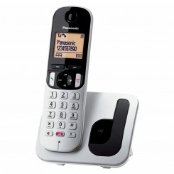 Беспроводной телефон Panasonic KX-TGC250 Серый Серебристый