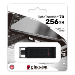 USB-pulk Kingston DT70/256GB