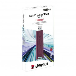 USB-pulk Kingston DTMAXA/256GB 256 GB