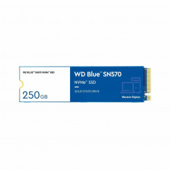 Kõvaketas Western Digital SN570 250 GB SSD