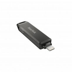 USB-накопитель SanDisk SDIX70N-256G-GN6NE Должен 256 ГБ