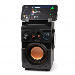 Portable Bluetooth Speakers SQUEAK SQ1001 Black 20 W