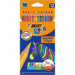 Värvilised pliiatsid Bic 9505222 Mitmevärviline
