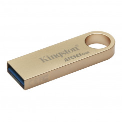 USB-накопитель Kingston DTSE9G3/256 ГБ 256 ГБ Золотой